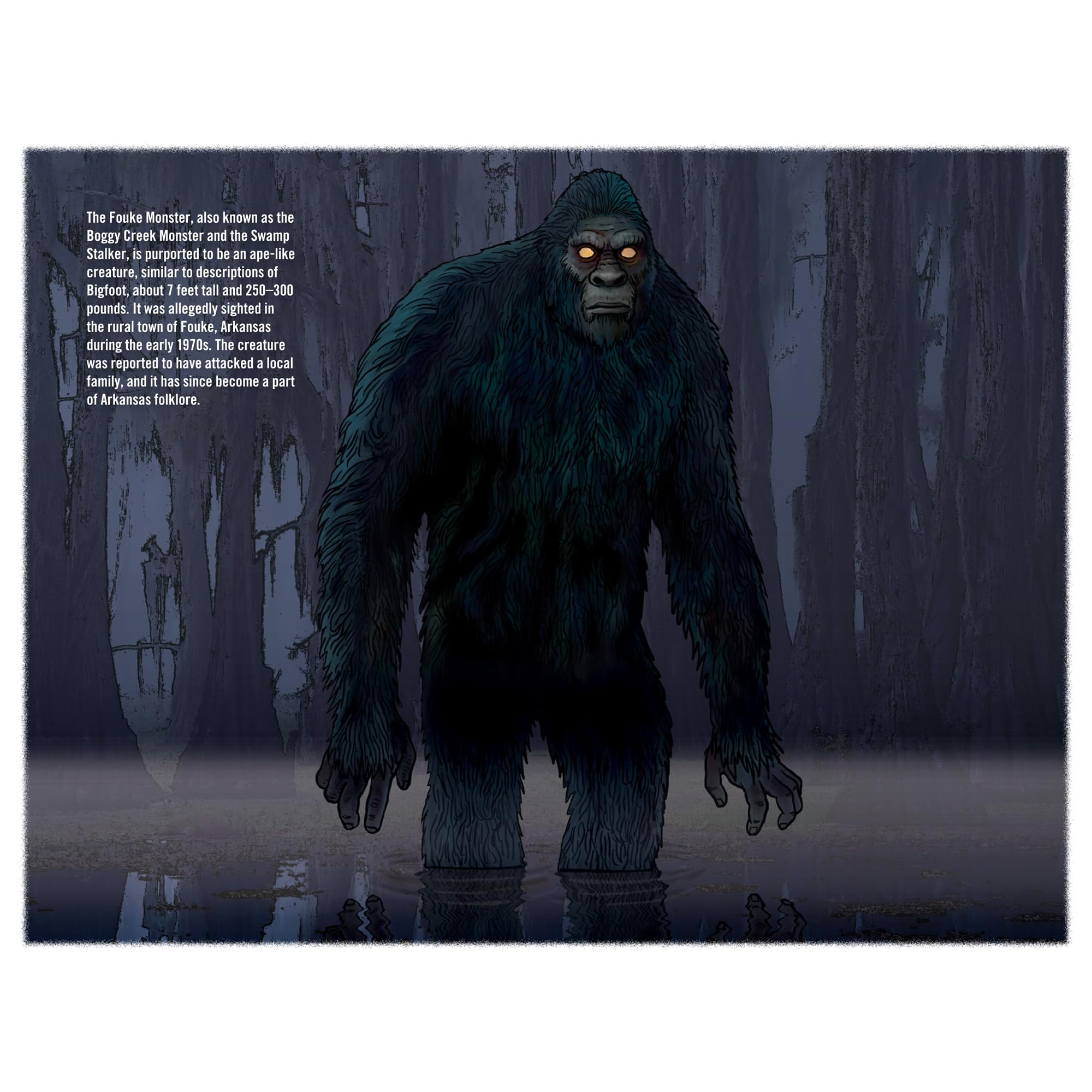Amazon.com: 2025 Bigfoot Calendar - 13 Month Wall Calendar